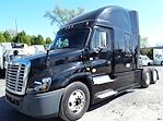 Used 2019 Freightliner Cascadia Sleeper Cab 6x4, Semi Truck for sale #826413 - photo 1
