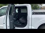 New 2024 Ford F-150 STX SuperCrew Cab 4x4, Pickup for sale #R512604 - photo 14