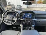 New 2024 Ford F-150 XLT SuperCrew Cab 4x4, Pickup for sale #R512900 - photo 3