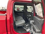 New 2024 Ford F-150 XLT SuperCrew Cab 4x4, Pickup for sale #R512978 - photo 13