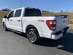 2023 Ford F-150 SuperCrew Cab 4x2, Pickup for sale #SH4205 - photo 4