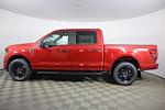 2024 Ford F-150 SuperCrew Cab 4x4, Pickup for sale #JF22806 - photo 6