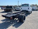 New 2024 Chevrolet Silverado 5500 Work Truck Regular Cab 4WD, Cab Chassis for sale #M240430 - photo 2