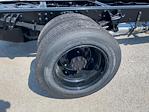 2024 Chevrolet Silverado 5500 Regular Cab DRW 2WD, Cab Chassis for sale #M240561 - photo 4