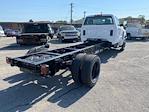 2024 Chevrolet Silverado 5500 Regular Cab DRW 2WD, Cab Chassis for sale #M240595 - photo 2