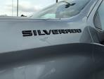 2024 Chevrolet Silverado 1500 Crew Cab RWD, Pickup for sale #F4140712 - photo 31