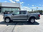 New 2024 Ford F-150 XLT SuperCrew Cab 4WD, Pickup for sale #FN5094 - photo 3