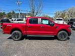 New 2024 Ford F-150 STX SuperCrew Cab 4WD, Pickup for sale #FN5121 - photo 19