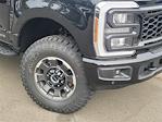 2024 Ford F-250 Crew Cab 4x4, Pickup for sale #F104392 - photo 3