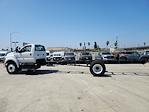 New 2025 Ford F-650 Regular Cab 4x2, Cab Chassis for sale #FF05168 - photo 5