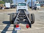 New 2024 Ford F-750 Regular Cab 4x2, Cab Chassis for sale #FF11036 - photo 4