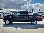 New 2023 Ford F-150 XLT SuperCrew Cab 4x4, Pickup for sale #FF54320 - photo 6