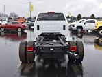 2024 Chevrolet Silverado 5500 Regular Cab DRW 4x2, Cab Chassis for sale #02T1389 - photo 6