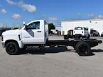 2024 Chevrolet Silverado 5500 Regular Cab DRW 4x2, Cab Chassis for sale #02T1493 - photo 8