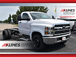 2024 Chevrolet Silverado 5500 Regular Cab DRW 4x2, Cab Chassis for sale #02T1557 - photo 1