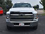 2024 Chevrolet Silverado 5500 Regular Cab DRW 4x2, Cab Chassis for sale #02T1557 - photo 10