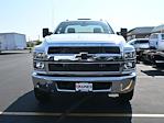 2024 Chevrolet Silverado 5500 Regular Cab DRW 4x2, Cab Chassis for sale #02T1644 - photo 9