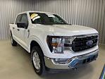 Used 2023 Ford F-150 XL SuperCrew Cab 4x4, Pickup for sale #P10725 - photo 18