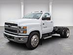Used 2019 Chevrolet Silverado 4500 Work Truck Regular Cab RWD, Cab Chassis for sale #TJD9635 - photo 1