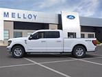 New 2024 Ford F-150 XLT SuperCrew Cab 4x4, Pickup for sale #FF24057 - photo 3