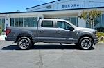 New 2024 Ford F-150 STX SuperCrew Cab 4WD, Pickup for sale #24F061 - photo 5