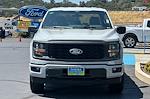 New 2024 Ford F-150 STX SuperCrew Cab 4WD, Pickup for sale #24F204 - photo 3