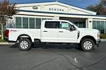 New 2024 Ford F-250 XLT Crew Cab 4WD, Pickup for sale #24F250 - photo 4