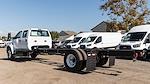 New 2024 Ford F-650 Base Crew Cab 4x2, Cab Chassis for sale #B240072 - photo 2