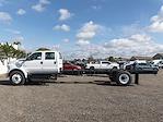 New 2024 Ford F-650 Base Crew Cab 4x2, Cab Chassis for sale #B240262 - photo 3
