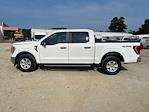 Used 2021 Ford F-150 XLT SuperCrew Cab 4x4, Pickup for sale #7388P - photo 8
