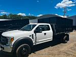 Used 2017 Ford F-450 XLT Super Cab 4x4, Landscape Dump for sale #14553 - photo 4