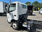 Used 2020 Hino 195 Single Cab 4x2, Cab Chassis for sale #14651 - photo 11