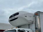 2015 Freightliner M2 106 Conventional Cab RWD, Refrigerated Body for sale #14805 - photo 13
