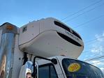 Used 2015 Freightliner M2 106 Conventional Cab RWD, Refrigerated Body for sale #14806 - photo 6
