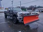 2014 Ford F-250 Crew Cab SRW 4x4, Plow Truck for sale #15084 - photo 3
