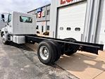 Used 2016 Hino 338 Single Cab 4x2, Cab Chassis for sale #10759 - photo 2