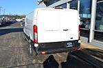 New 2024 Ford Transit 250 Low Roof RWD, Empty Cargo Van for sale #E327 - photo 8