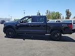 New 2024 Ford F-150 XLT SuperCrew Cab 4x4, Pickup for sale #00241178 - photo 4