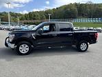 2021 Ford F-150 SuperCrew Cab 4WD, Pickup for sale #14037693 - photo 8