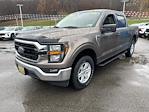 2023 Ford F-150 SuperCrew Cab 4WD, Pickup for sale #14037881 - photo 10