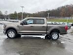 2023 Ford F-150 SuperCrew Cab 4WD, Pickup for sale #14037881 - photo 8