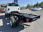 New 2024 Chevrolet Silverado 5500 Work Truck Regular Cab 4WD, Cab Chassis for sale #50036803 - photo 6