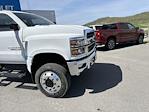 New 2024 Chevrolet Silverado 5500 Work Truck Regular Cab 4WD, Cab Chassis for sale #50036819 - photo 3