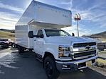 2024 Chevrolet Silverado 6500 Regular Cab DRW 2WD, Bay Bridge Sheet and Post Box Truck for sale #50037491 - photo 1