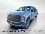 2024 Ford F-250 Crew Cab SRW 4x2, Service Truck for sale #FT24112 - photo 3