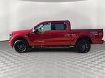 New 2024 Ford F-150 XLT SuperCrew Cab 4x4, Pickup for sale #FT241601 - photo 5