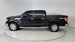 Used 2013 Ford F-150 XLT SuperCrew Cab 4x4, Pickup for sale #17697B - photo 7