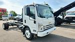 New 2025 Chevrolet LCF 5500HG Regular Cab 4x2, Cab Chassis for sale #34491N - photo 3