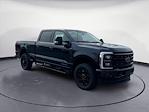 2024 Ford F-350 Crew Cab SRW 4x4, Pickup for sale #EE50050 - photo 3