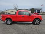 Used 2011 Ford F-150 XLT Super Cab 4x2, Pickup for sale #C33042B - photo 5